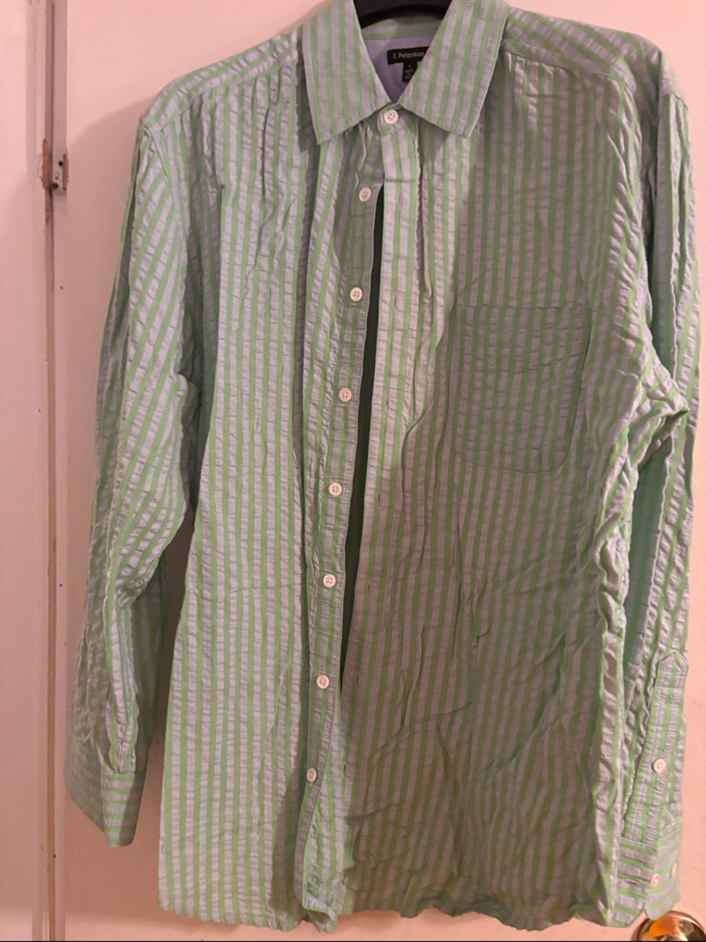 J. Peterman Light Green and White Striped Men's Button-Down Shirt